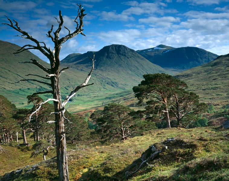 Uniquely Scotland News