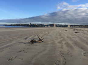 West Sands beach, St Andrews