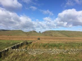 The Famous Sycamore Gap