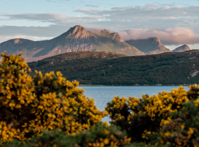 Ben Loyal and the North Coast