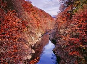 The Pass of Killiecrankie, location of a Jacobite battle in 1689...