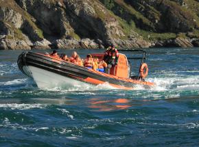 Explore some of the west coast wildlife and scenery in spectacular style by RIB boat