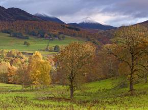 The Cairngorm National Park